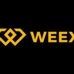START YOUR CRYPTO COPY TRADING JOURNEY, WITH WEEX EXCHANGE